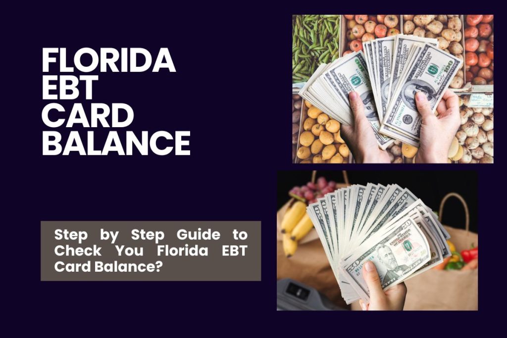 Florida EBT Card Balance - Step by Step Guide to Check You Florida EBT Card Balance?